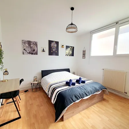 דירה Le Carillon - Hypercentre - Wifi דואי